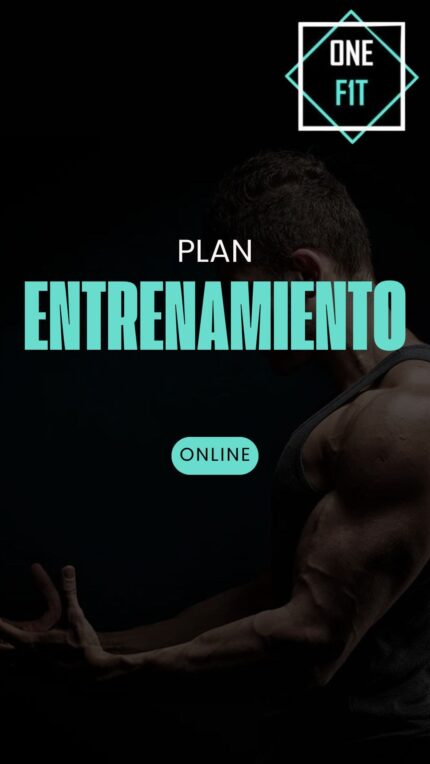 Plan de entrenamiento
